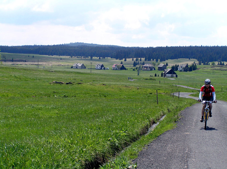 C06_419