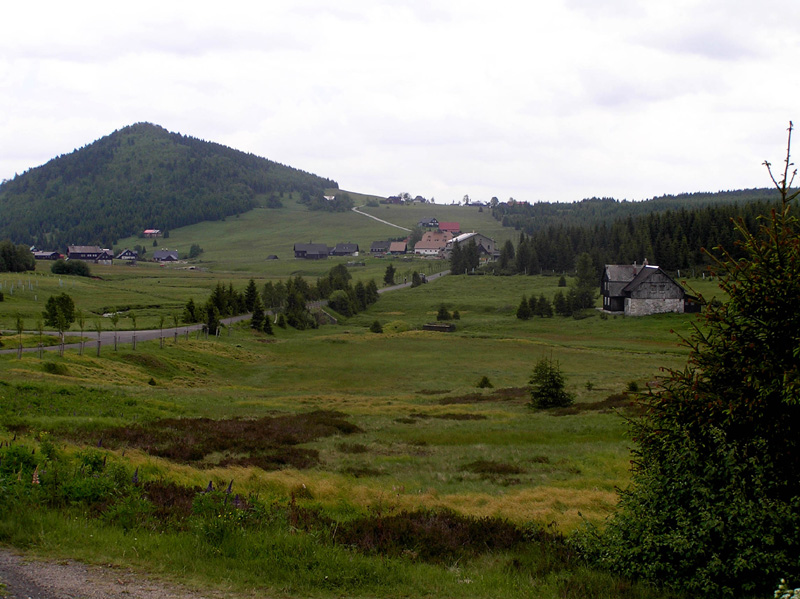 P6180041