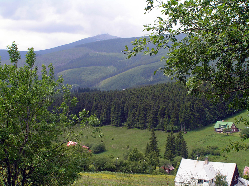 P6200088