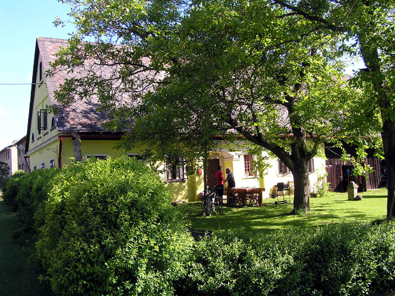 ct10_253