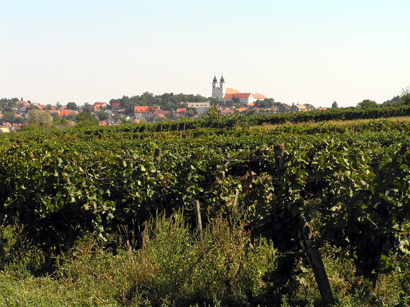 cv08_310034