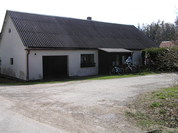 cv_ck19