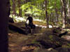 ct12_40037r