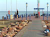 cv08_290004
