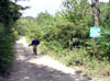 cv08_300024