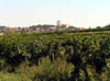 cv08_310034