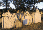 93021zidhrbitov.gif