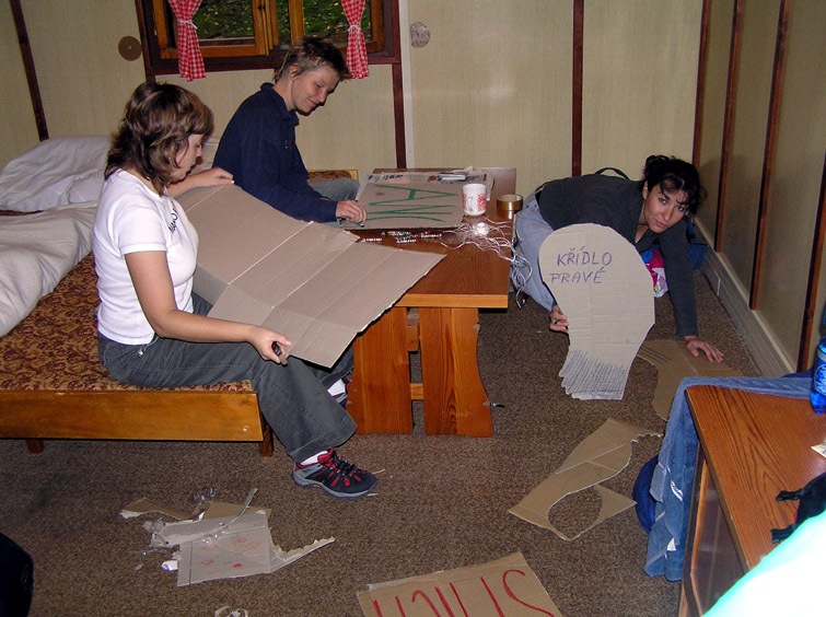 P200533