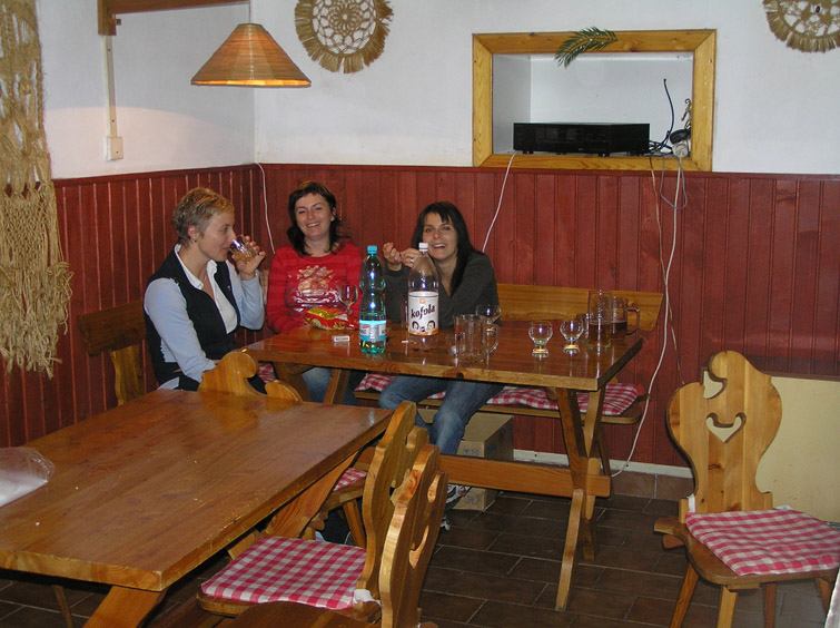 P2006003