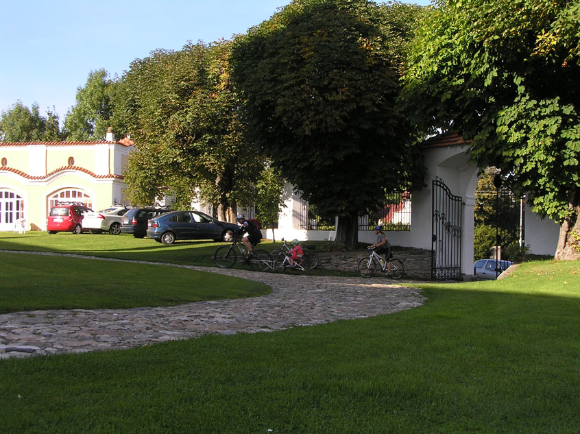 Vi11_141