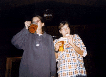 p2_06.gif (45457 bytes)