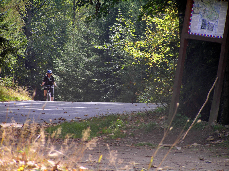svsv_80135