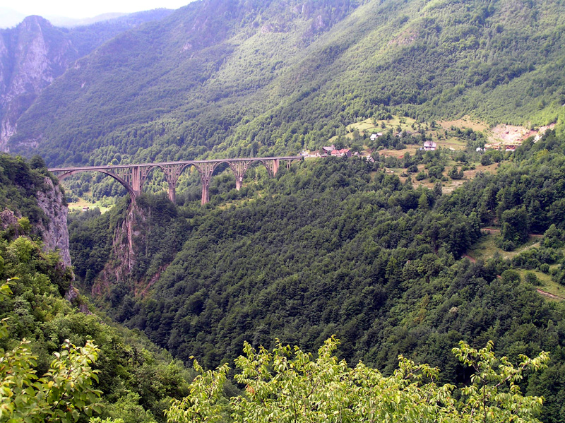 P8070035