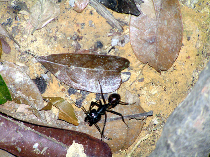 315_P5160028