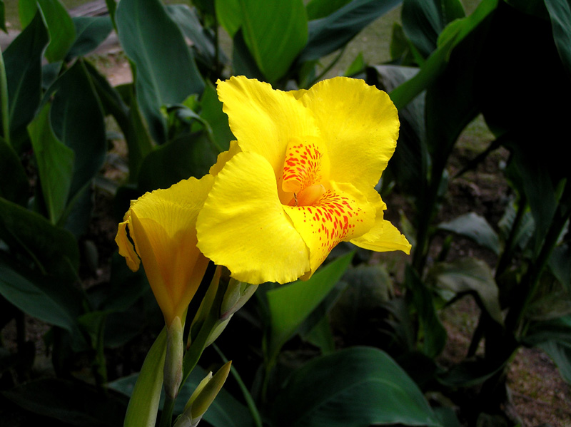 342_P5190002