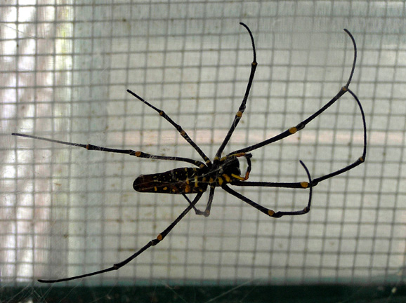 351_P5200042