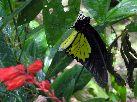 354_P5200048