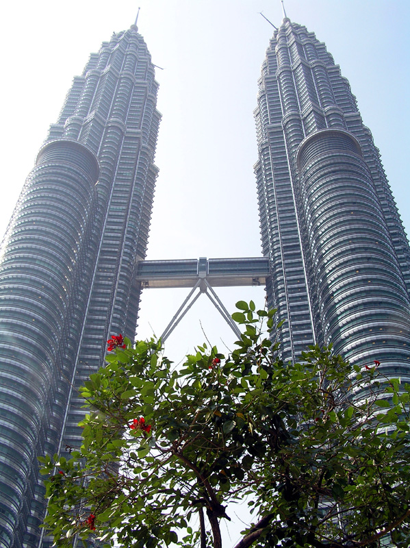 385_P5220113