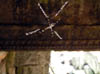 176s_P5030263
