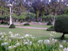 198_P5040397