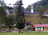 341_P5190003