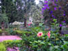 342_P5190001