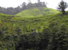 343_P5200010