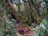 346_P5200029