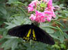 352_P5200045