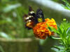 355_P5200055