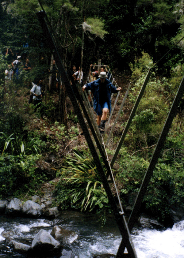NZ_NI_007_sk_KawekaForest_FootBridge