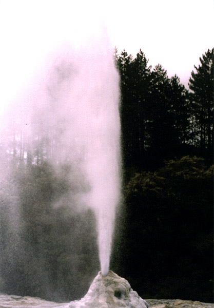 NZ_NI_013_Ir_Waiotapu_LadyKnoxGeyser