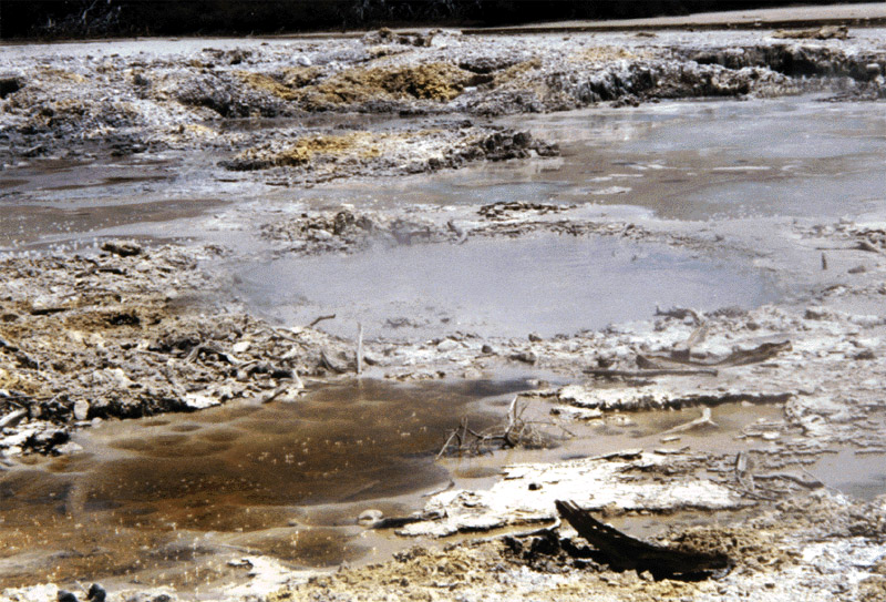 NZ_NI_013_sk_Waiotapu_ThermalArea