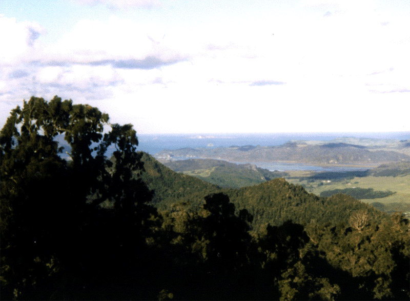 NZ_NI_034_sk_Coromandel_CoromandelTrack