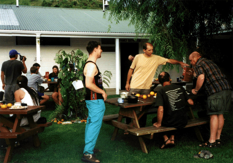 NZ_NI_036_sk_Coromandel_Vanoce