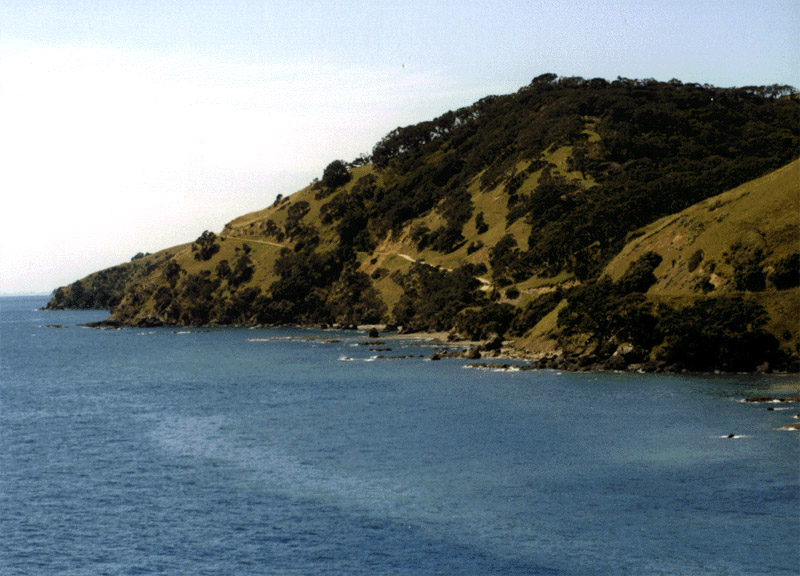 NZ_NI_040_Ir_Coromandel_smerPortJackson