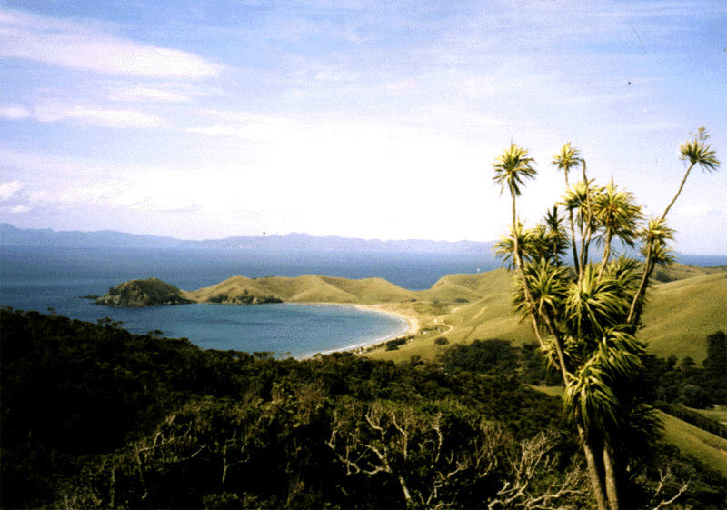 NZ_NI_040_sk_Coromandel_smeremPortJackson