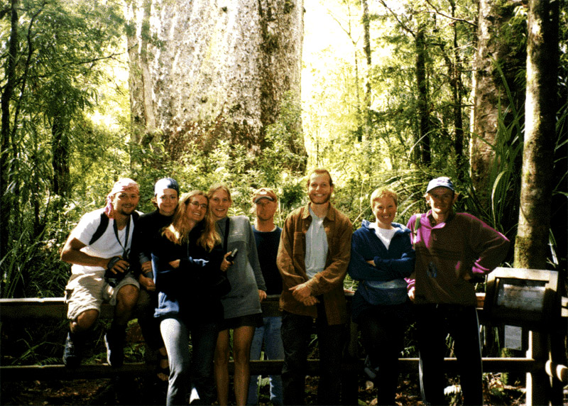 NZ_NI_042_Ir_Northland_Kauri_TaneMahuta