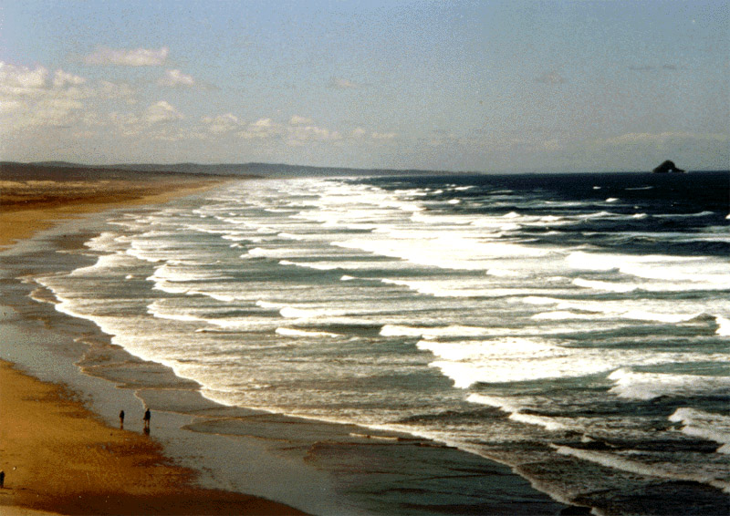 NZ_NI_047_sk_Northland_NintyMileBeach