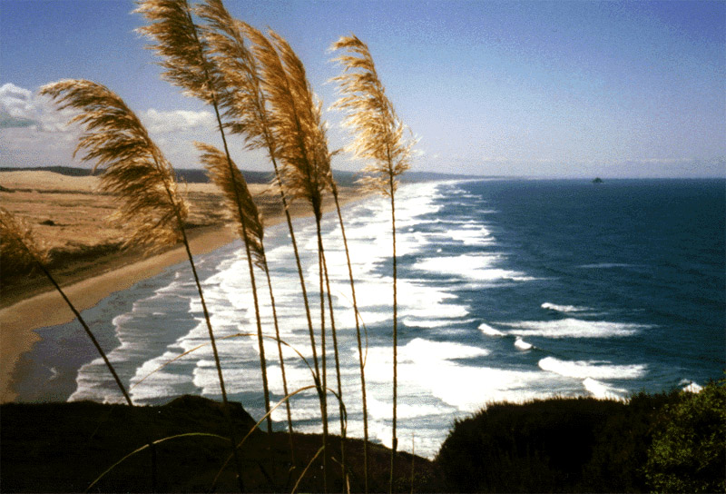 NZ_NI_048_sk_Northland_NintyMileBeach
