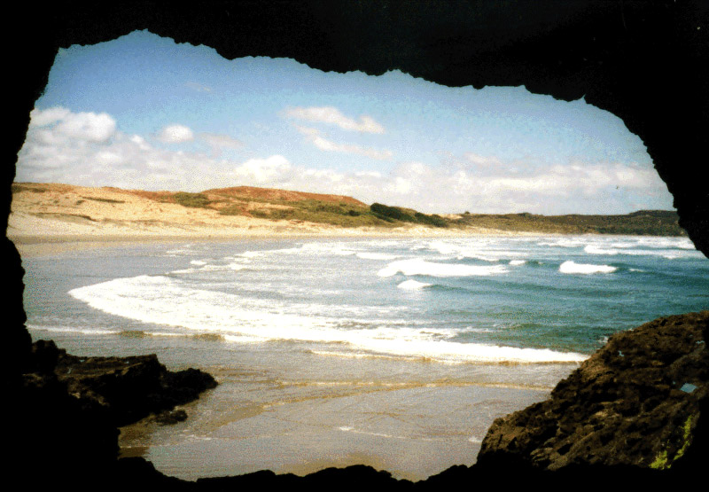 NZ_NI_050_sk_Northland_NintyMileTrack