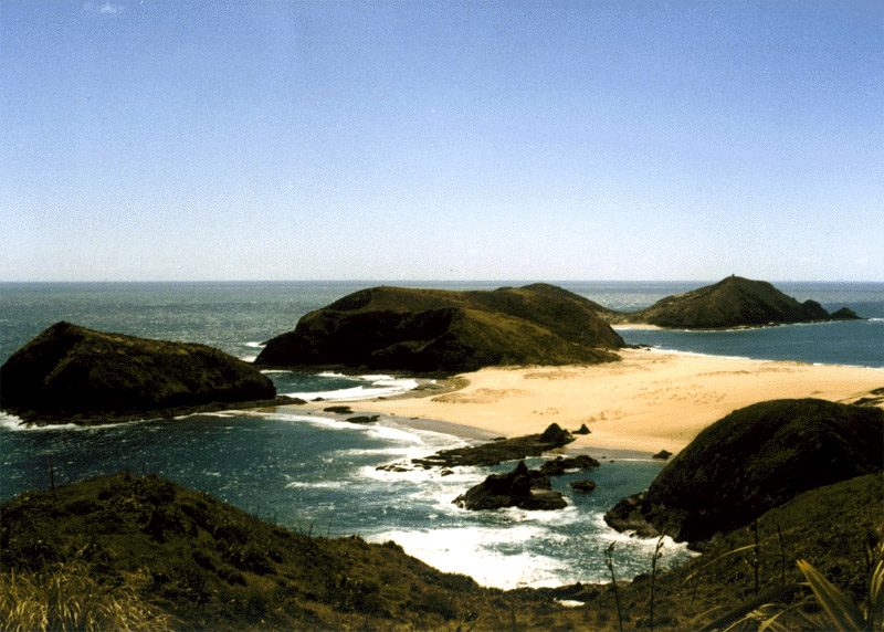 NZ_NI_051_Ir_Northland_NintyMileTrack