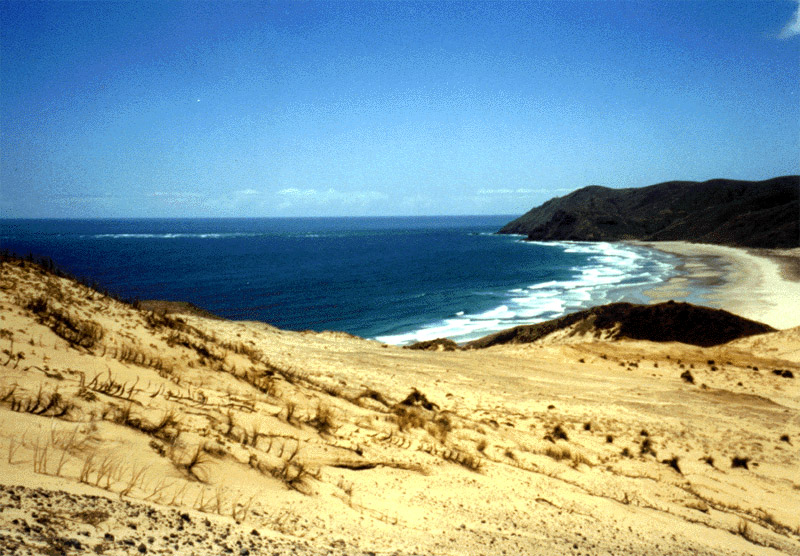 NZ_NI_051_sk_Northland_NintyMileTrack
