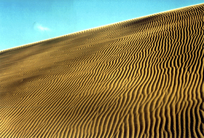 NZ_NI_054_Ir_Northland_CapeReinga_TePaki