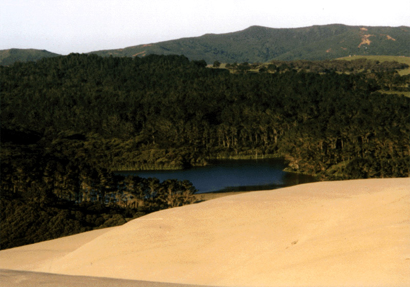NZ_NI_054_sk_Northland_CapeReinga_TePaki