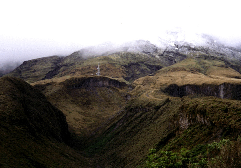 NZ_NI_060_sk_Taranaki_MtTaranakiTrack