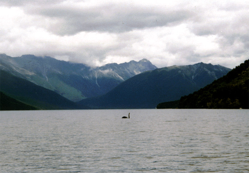 NZ_SI_083_sk_Nelson_RotoitiLake