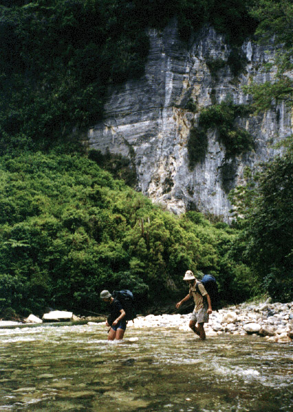 NZ_SI_090_sk_Paparoa_FoxRiverTrack-1