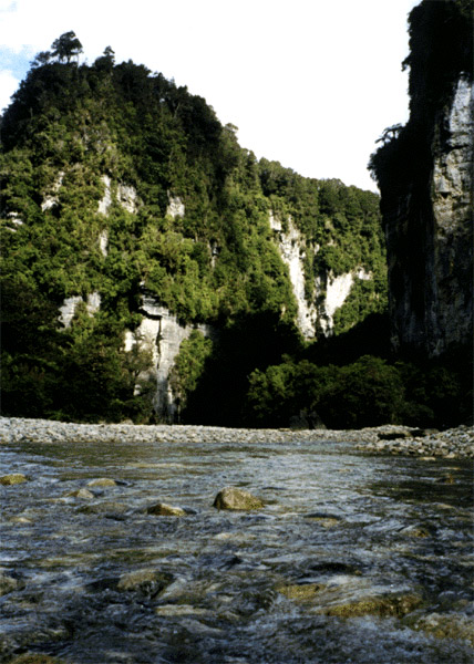 NZ_SI_090a_sk_Paparoa_FoxRiverTrack