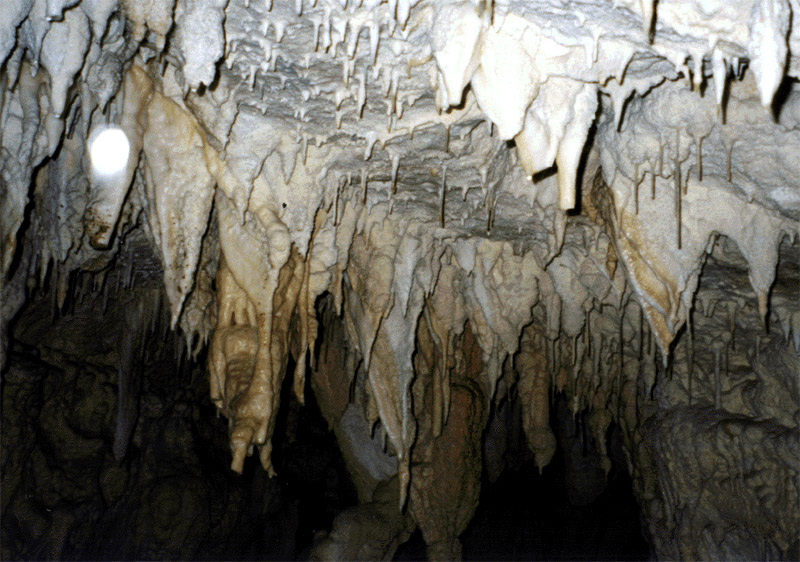 NZ_SI_090c_sk_Paparoa_FoxRiverCaves